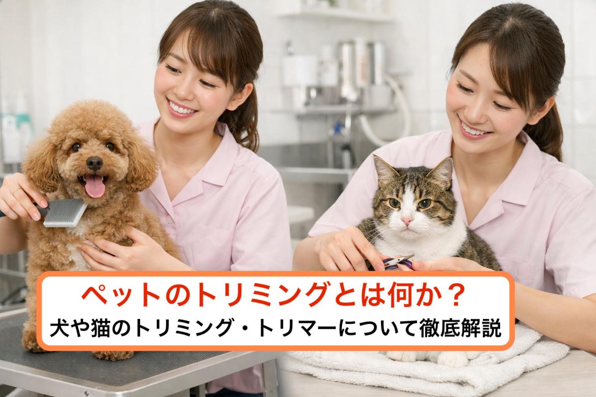 トリミング と は
