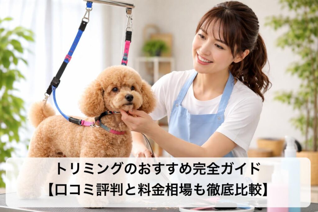 トリミングのおすすめ完全ガイド【口コミ評判と料金相場も徹底比較】