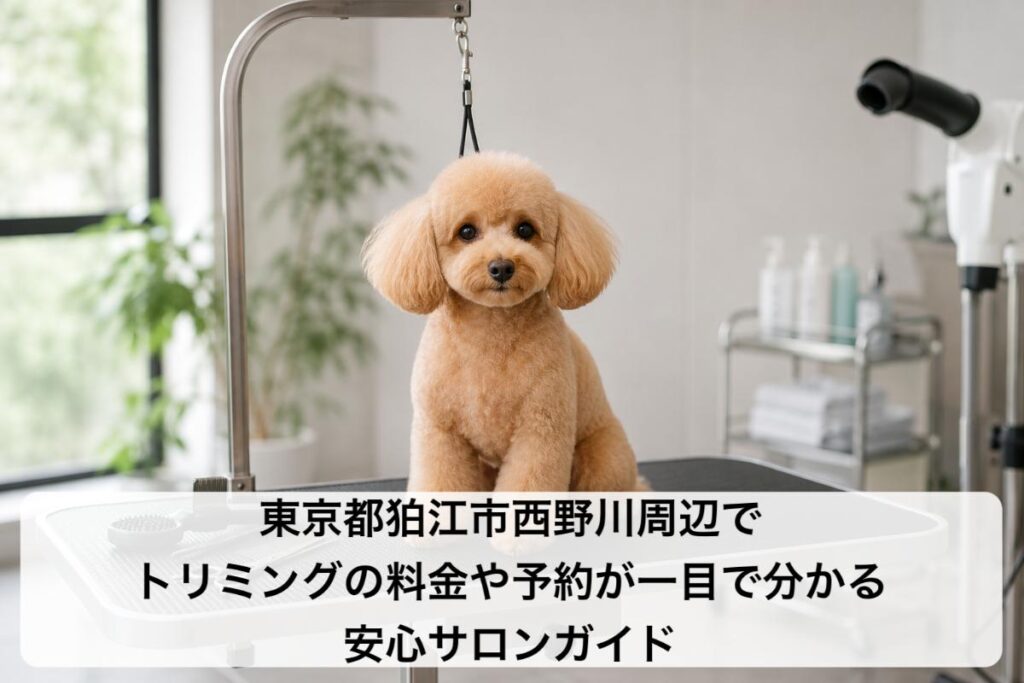 東京都狛江市西野川周辺でトリミングの料金や予約が一目で分かる安心サロンガイド