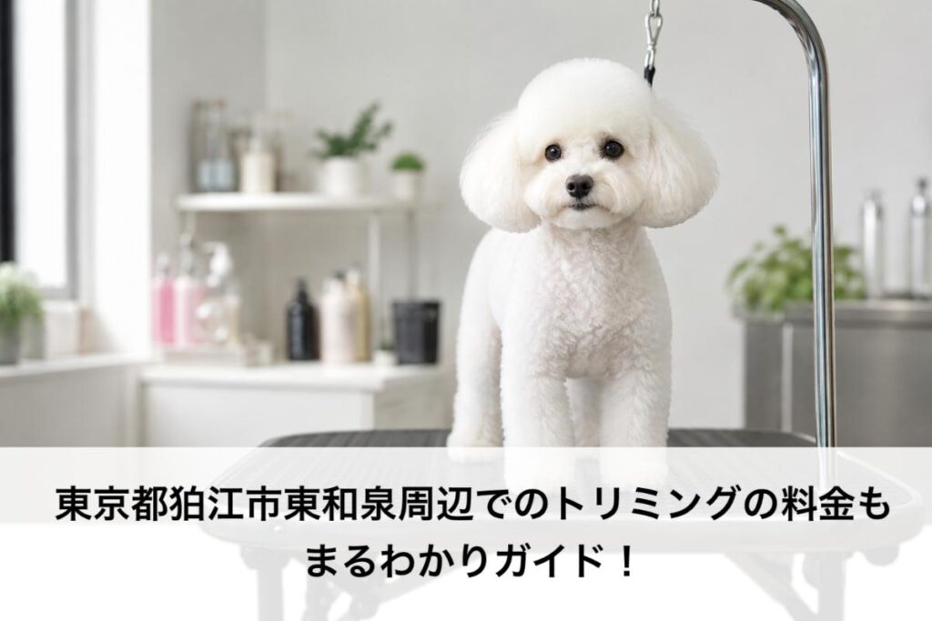 東京都狛江市東和泉周辺でのトリミングの料金もまるわかりガイド!