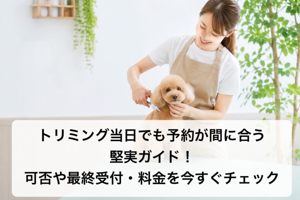 トリミング当日でも予約が間に合う堅実ガイド！可否や最終受付・料金を今すぐチェック
