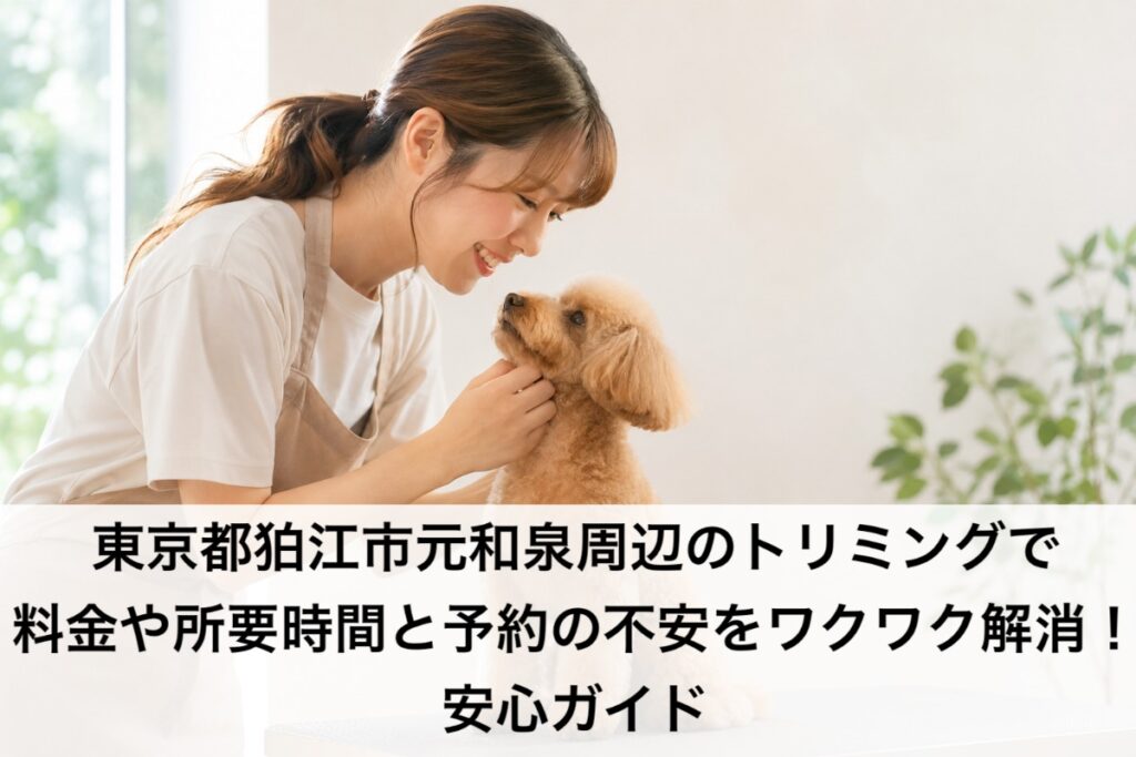 東京都狛江市元和泉周辺のトリミングで料金や所要時間と予約の不安をワクワク解消！安心ガイド