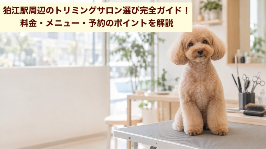 狛江駅周辺のトリミングサロン選び完全ガイド!料金・メニュー・予約のポイントを解説