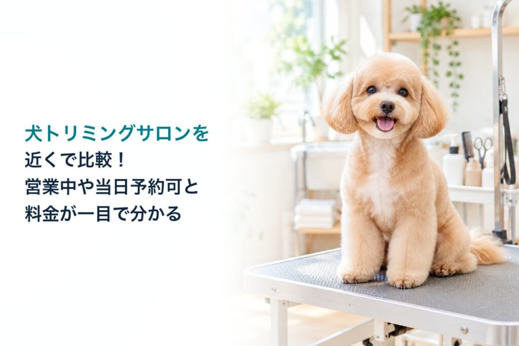 犬トリミングサロンを近くで比較!営業中や当日予約可と料金が一目で分かる