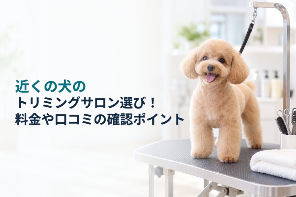 近くの犬のトリミングサロン選び!料金や口コミの確認ポイント